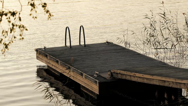 Wooden floating dock with a metal ladder on calm water surrounded by reeds at golden hour
